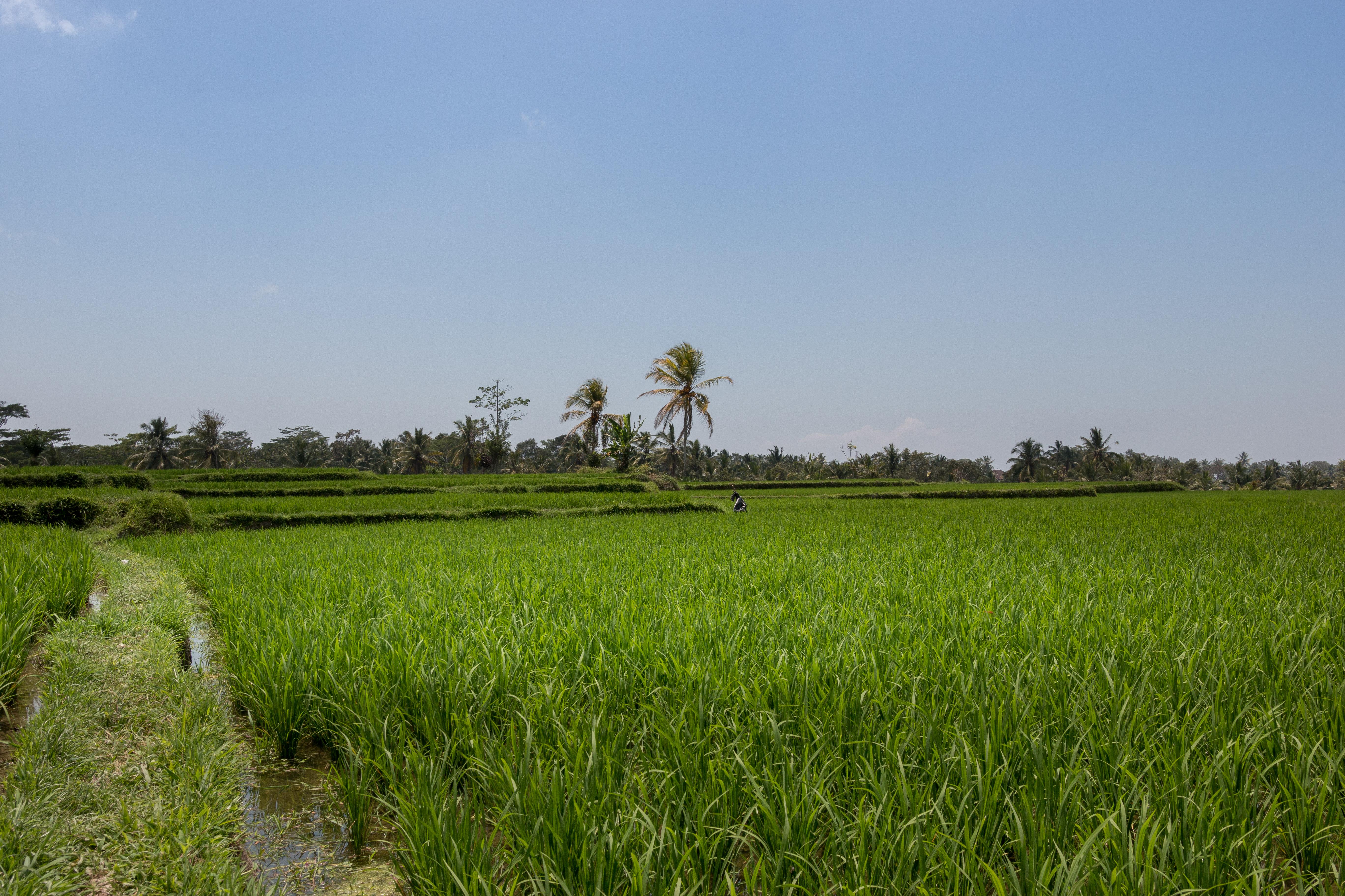 Onje Resort And Villas Ubud  Exterior photo